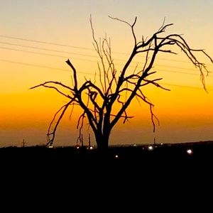 Meet your Posher, Ara